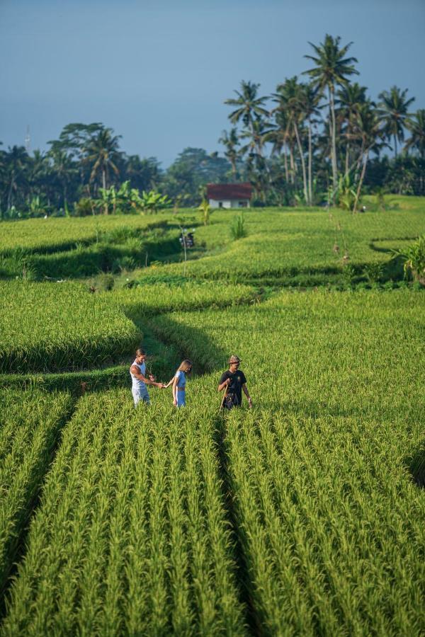 The Sun Of Granary Resort And Villas Ubud  Exterior photo